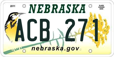 NE license plate ACB271