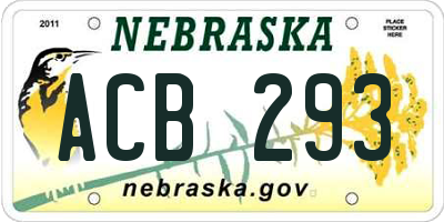 NE license plate ACB293