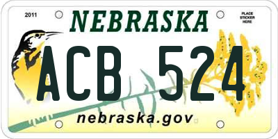 NE license plate ACB524