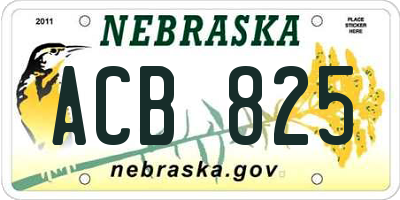 NE license plate ACB825