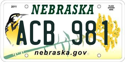 NE license plate ACB981