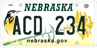 NE license plate ACD234