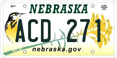 NE license plate ACD271