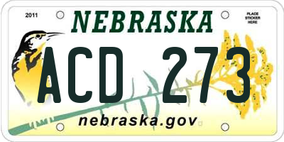 NE license plate ACD273