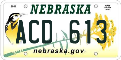 NE license plate ACD613