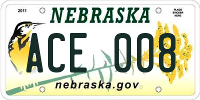 NE license plate ACE008