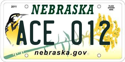 NE license plate ACE012