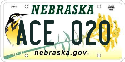 NE license plate ACE020