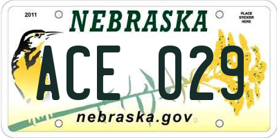 NE license plate ACE029