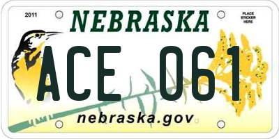 NE license plate ACE061