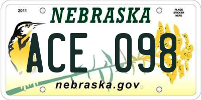 NE license plate ACE098