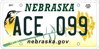 NE license plate ACE099