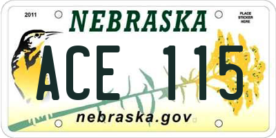 NE license plate ACE115