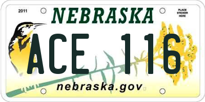 NE license plate ACE116