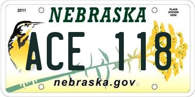 NE license plate ACE118