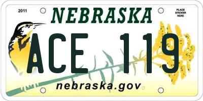 NE license plate ACE119