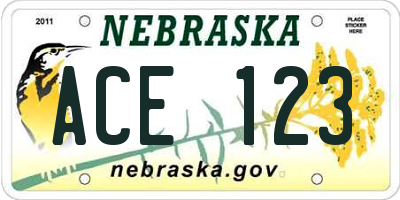 NE license plate ACE123