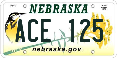 NE license plate ACE125