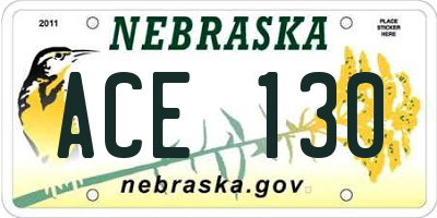 NE license plate ACE130