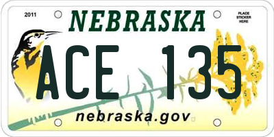 NE license plate ACE135