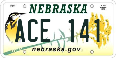 NE license plate ACE141