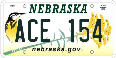 NE license plate ACE154