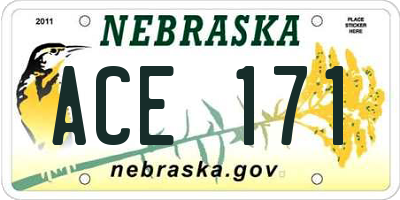 NE license plate ACE171