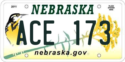 NE license plate ACE173