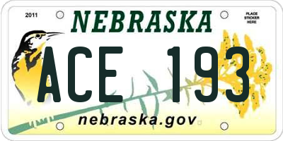 NE license plate ACE193