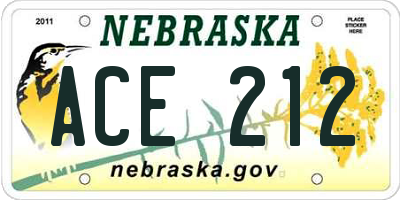 NE license plate ACE212