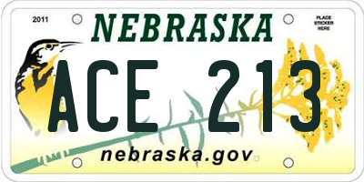 NE license plate ACE213