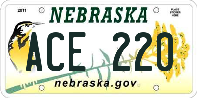 NE license plate ACE220