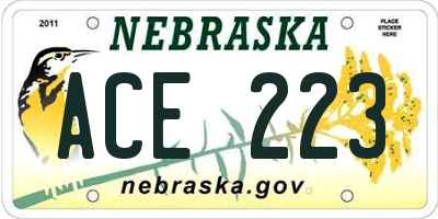 NE license plate ACE223