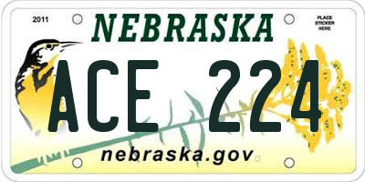 NE license plate ACE224