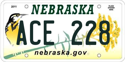 NE license plate ACE228