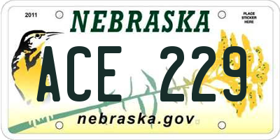 NE license plate ACE229