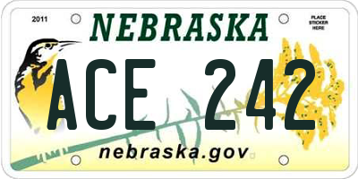 NE license plate ACE242
