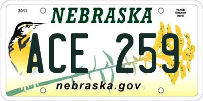 NE license plate ACE259