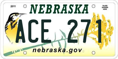 NE license plate ACE271