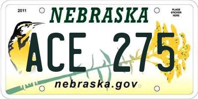 NE license plate ACE275