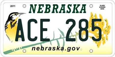 NE license plate ACE285