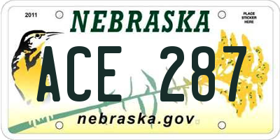 NE license plate ACE287