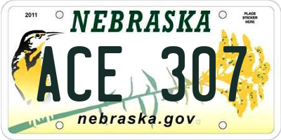 NE license plate ACE307