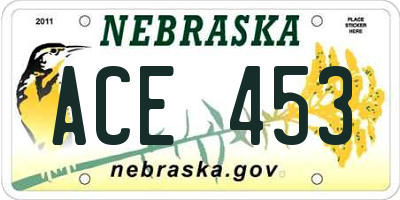 NE license plate ACE453