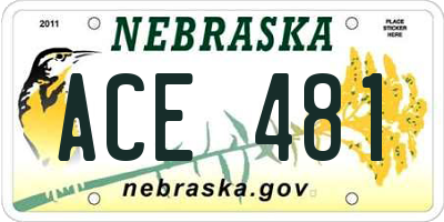NE license plate ACE481