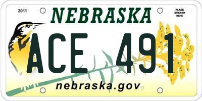 NE license plate ACE491