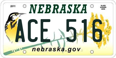 NE license plate ACE516