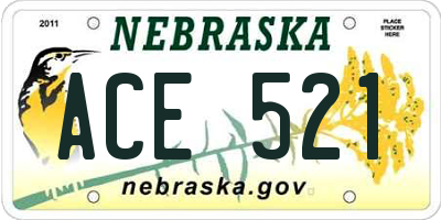 NE license plate ACE521