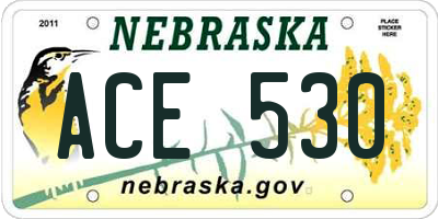 NE license plate ACE530