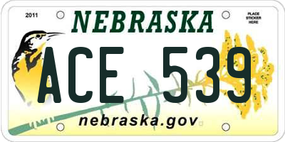 NE license plate ACE539